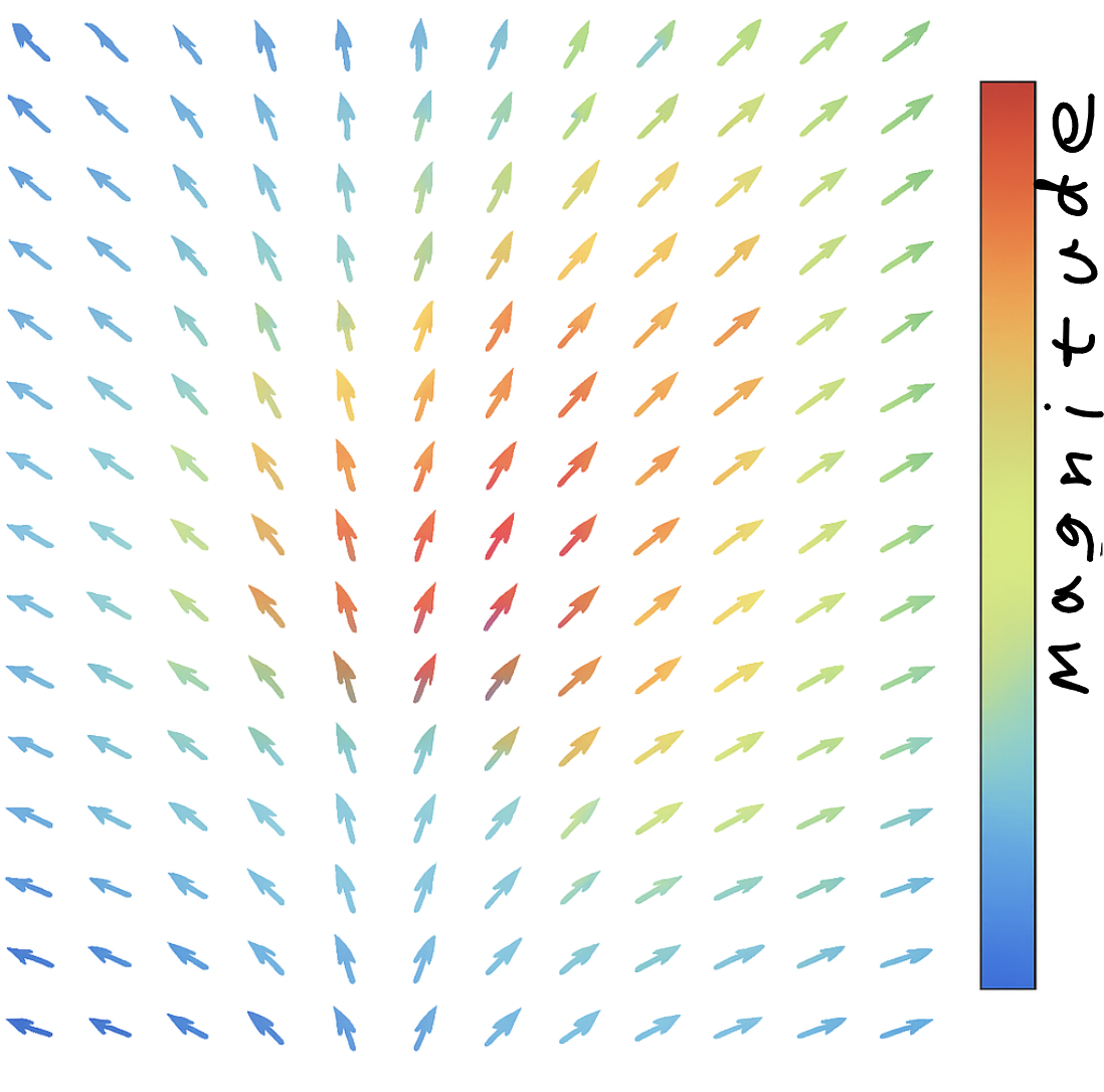 Diagram showing a vector field